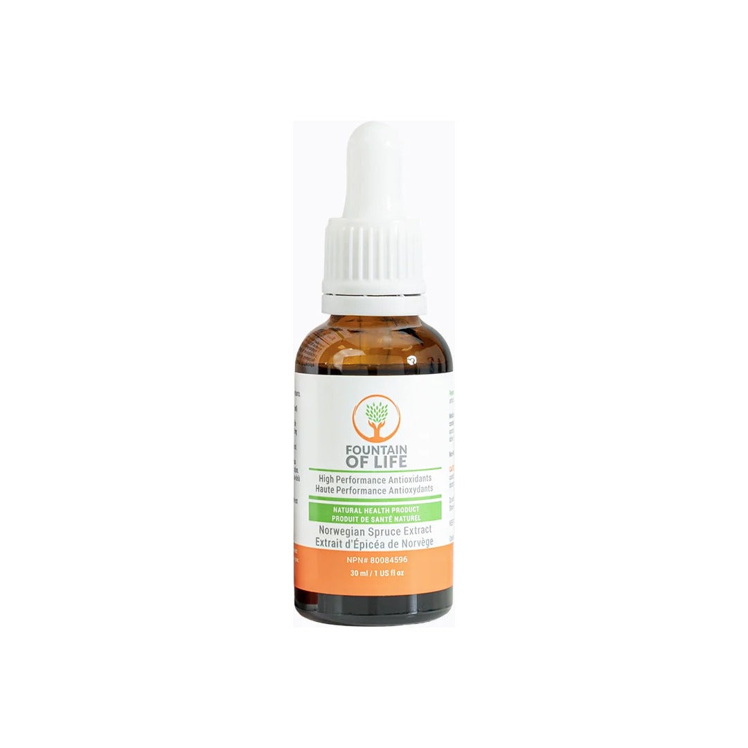 Fountain of Life Norwegian spruce antioxidant drops, single bottle