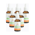 Fountain of Life Norwegian spruce antioxidant drops, 6-bottle value pack