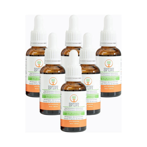Fountain of Life Antioxidant Drops — 6 Bottles