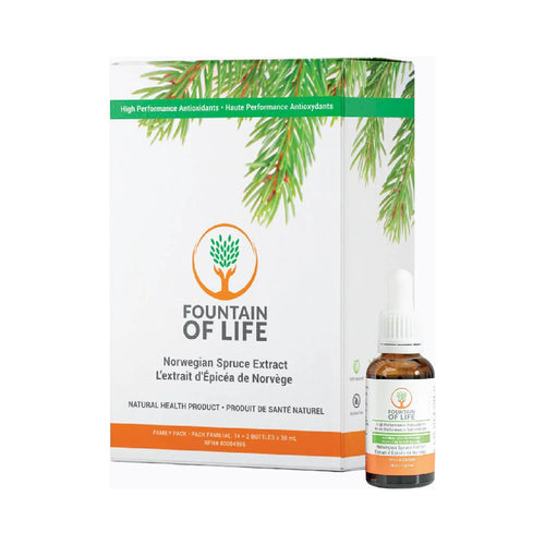 Fountain of Life