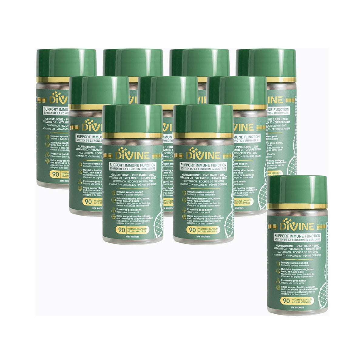 Divine Supplement — Family Pack (9+1 Bottles)